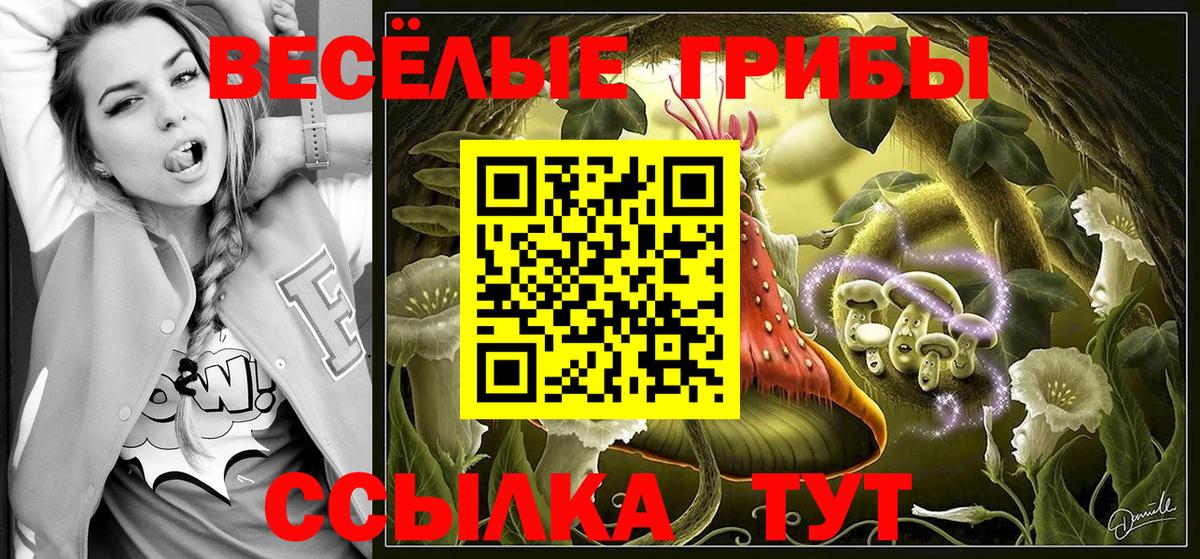 Карачаевск  Псилоцибиновые грибы ЛСД  Вход с VPN  Псилоцибиновые грибы ЛСД 