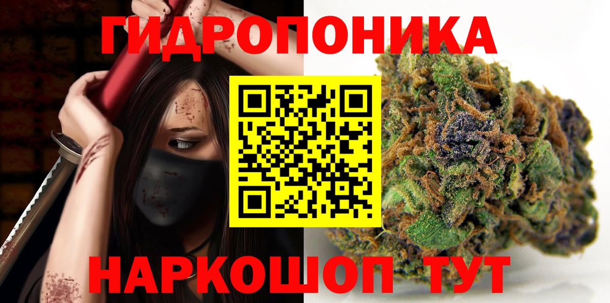 Конопля план Карачаевск